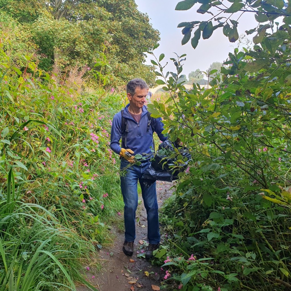 Gavin pruning the path